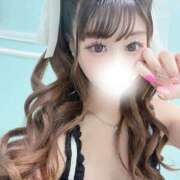 ヒメ日記 2026/08/29 06:00 投稿 くらげ 若葉