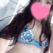ヒメ日記 2026/08/12 08:31 投稿 しの 若葉