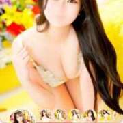 ヒメ日記 2026/04/25 09:01 投稿 もも 若葉