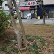 ひとみ すみません🙇‍♂️ 若葉
