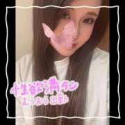 ヒメ日記 2026/04/17 13:01 投稿 セレン 若葉