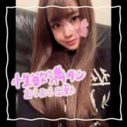 ヒメ日記 2026/04/22 11:01 投稿 セレン 若葉