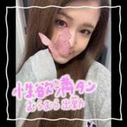 ヒメ日記 2026/07/08 07:02 投稿 セレン 若葉