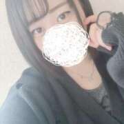 ヒメ日記 2026/04/05 11:07 投稿 ひばり 若葉