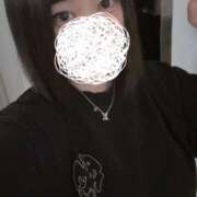 ヒメ日記 2026/04/08 14:42 投稿 ひばり 若葉