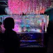 ヒメ日記 2026/04/14 15:50 投稿 ひばり 若葉