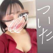 ヒメ日記 2026/04/24 14:34 投稿 ひばり 若葉