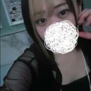 ヒメ日記 2026/06/02 12:10 投稿 ひばり 若葉