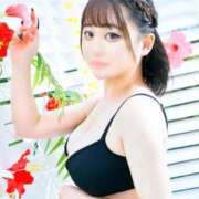 ヒメ日記 2026/07/10 15:02 投稿 ひばり 若葉