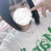 ヒメ日記 2026/07/20 16:35 投稿 ひばり 若葉