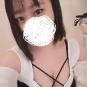 ヒメ日記 2026/08/09 10:28 投稿 ひばり 若葉