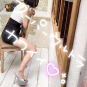 ヒメ日記 2026/05/12 15:05 投稿 せな 若葉