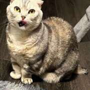 ヒメ日記 2026/05/25 06:27 投稿 せな 若葉