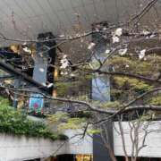 まな 桜の季節? 天使のゆびさき 船橋店(カサブランカグループ)