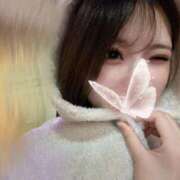 ヒメ日記 2026/03/31 11:35 投稿 ゆあ 推しの娘