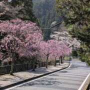 ゆり 4/2　14:00〜17:00　初出勤です✨ Salon du M-えっちなお姉さんのM性感デリバリー-五反田店