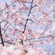 ヒメ日記 2026/04/03 10:52 投稿 れん 妊婦母乳風俗専門店ミルクランド