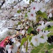 きき おでかけ！！ 素人ぽちゃカワ学園