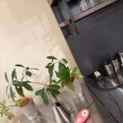 ヒメ日記 2026/03/30 20:47 投稿 さざえ 奥様特急　立川店