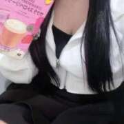 ヒメ日記 2026/04/06 13:19 投稿 こむぎ サティアンまーと