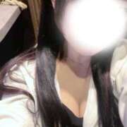 ヒメ日記 2026/04/08 08:29 投稿 こむぎ サティアンまーと