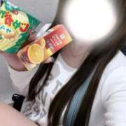 ヒメ日記 2026/04/17 15:17 投稿 こむぎ サティアンまーと