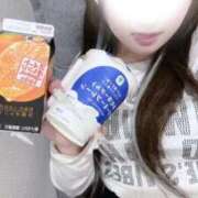 ヒメ日記 2026/04/24 16:19 投稿 こむぎ サティアンまーと