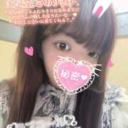 ヒメ日記 2026/04/08 13:21 投稿 みさき 妻天 梅田店