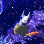 ヒメ日記 2026/03/27 19:19 投稿 紗苗(さなえ) グランドオペラ横浜