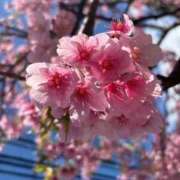 ヒメ日記 2026/03/28 08:33 投稿 紗苗(さなえ) グランドオペラ横浜