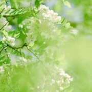 ヒメ日記 2026/03/30 21:21 投稿 紗苗(さなえ) グランドオペラ横浜