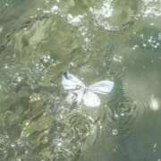 ヒメ日記 2026/04/06 18:33 投稿 紗苗(さなえ) グランドオペラ横浜