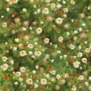 ヒメ日記 2026/04/10 16:21 投稿 紗苗(さなえ) グランドオペラ横浜