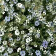 ヒメ日記 2026/04/12 13:19 投稿 紗苗(さなえ) グランドオペラ横浜