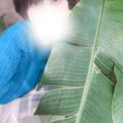 ヒメ日記 2026/06/30 07:21 投稿 紗苗(さなえ) グランドオペラ横浜