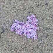 ヒメ日記 2026/03/26 19:30 投稿 まいか【新人割】 素人系イメージSOAP彼女感大宮館