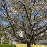 ヒメ日記 2026/04/02 22:46 投稿 スズ エピソード(品川)