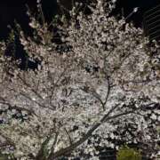 ヒメ日記 2026/04/05 22:01 投稿 スズ エピソード(品川)