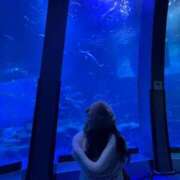 ヒメ日記 2026/04/18 22:01 投稿 スズ エピソード(品川)