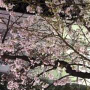 ヒメ日記 2026/03/28 23:01 投稿 ハルナ エピソード(品川)