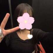 ヒメ日記 2026/04/13 00:16 投稿 ハルナ エピソード(品川)