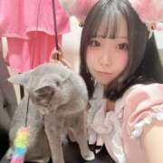 ヒメ日記 2026/04/21 09:20 投稿 ゆず ハピネス＆ドリーム 松山道後温泉