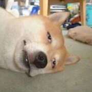 ヒメ日記 2026/04/03 22:32 投稿 しろ 上野　御徒町オトナのハンドメイド