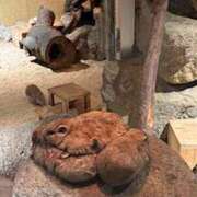 ヒメ日記 2026/06/26 23:05 投稿 しろ 上野　御徒町オトナのハンドメイド