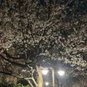 ヒメ日記 2026/03/29 22:37 投稿 ちひろ 東京リップ 立川店