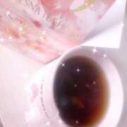 ヒメ日記 2026/03/29 15:04 投稿 さくら CECIL