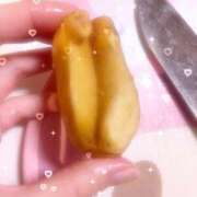 ヒメ日記 2026/03/30 23:15 投稿 さくら CECIL