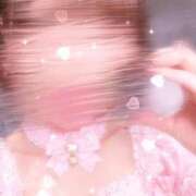 ヒメ日記 2026/04/09 07:13 投稿 さくら CECIL