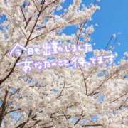 ヒメ日記 2026/04/04 15:38 投稿 まみ 横浜人妻花壇本店