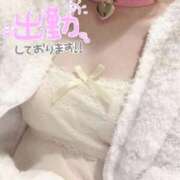 ヒメ日記 2026/04/09 14:35 投稿 まみ 横浜人妻花壇本店